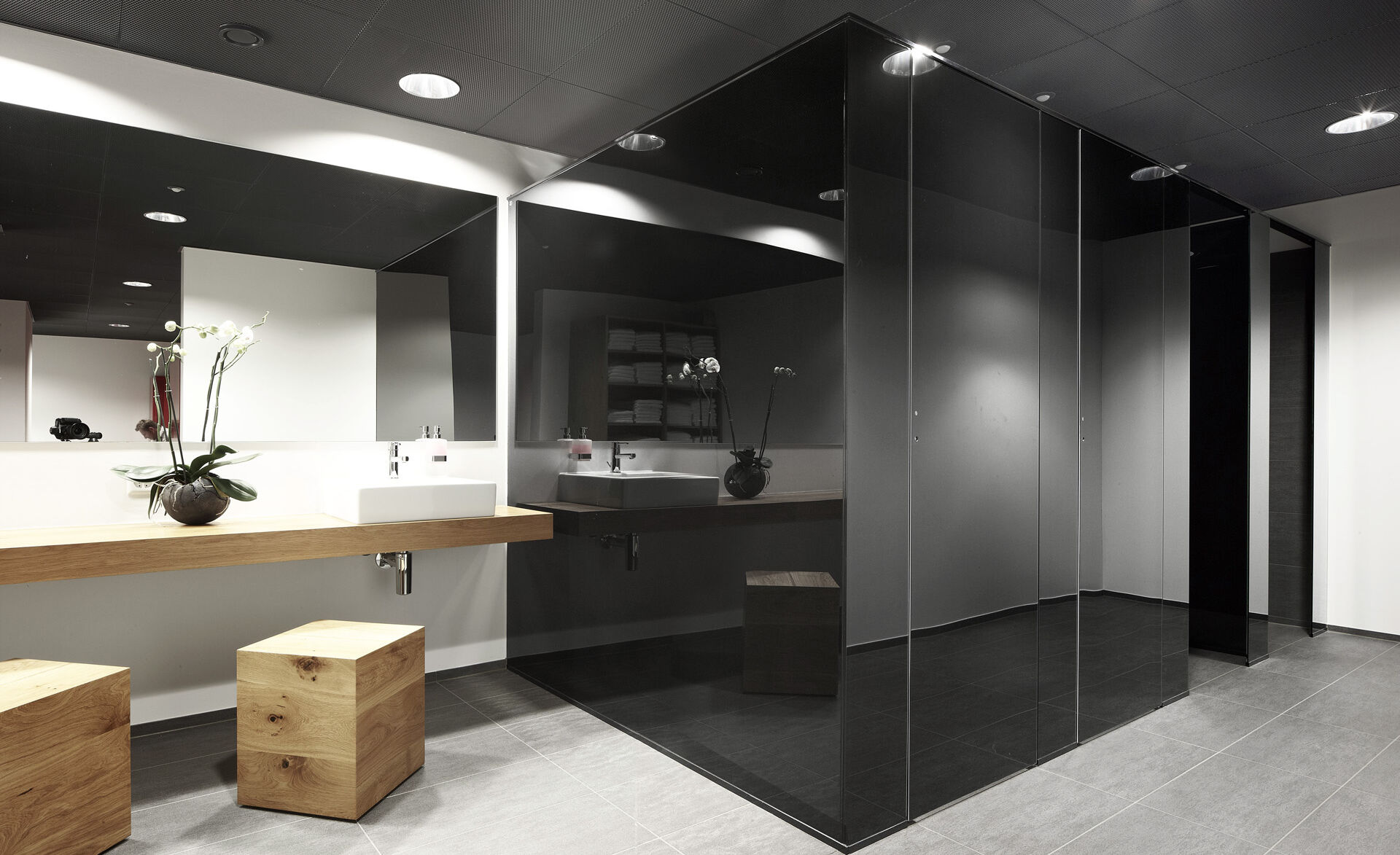 trennwand-gm cabinmart-glas trennwand module-sichtschutz wc-oeffentliches wc